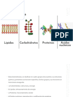 Semana 2 Biomoleculas