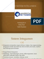 Tugas Kelompok 4 Fisiologi Sistem Integumen