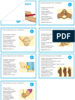 Ro2 e 3 Exercitii de Incalzire Pentru Scriere Cartonase Ver 1