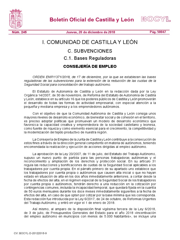 Bases de Subvenciones para Autónomos | PDF | Otorgar dinero) | Gobierno