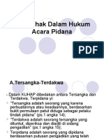 Para Pihak Dalam Hukum Acara Pidana