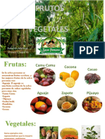 Frutas Y Vegetales Del La Selva
