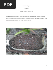 Narrative Report