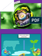 Clase 9 - Celula Eucariota Parte 1 (Teoria)