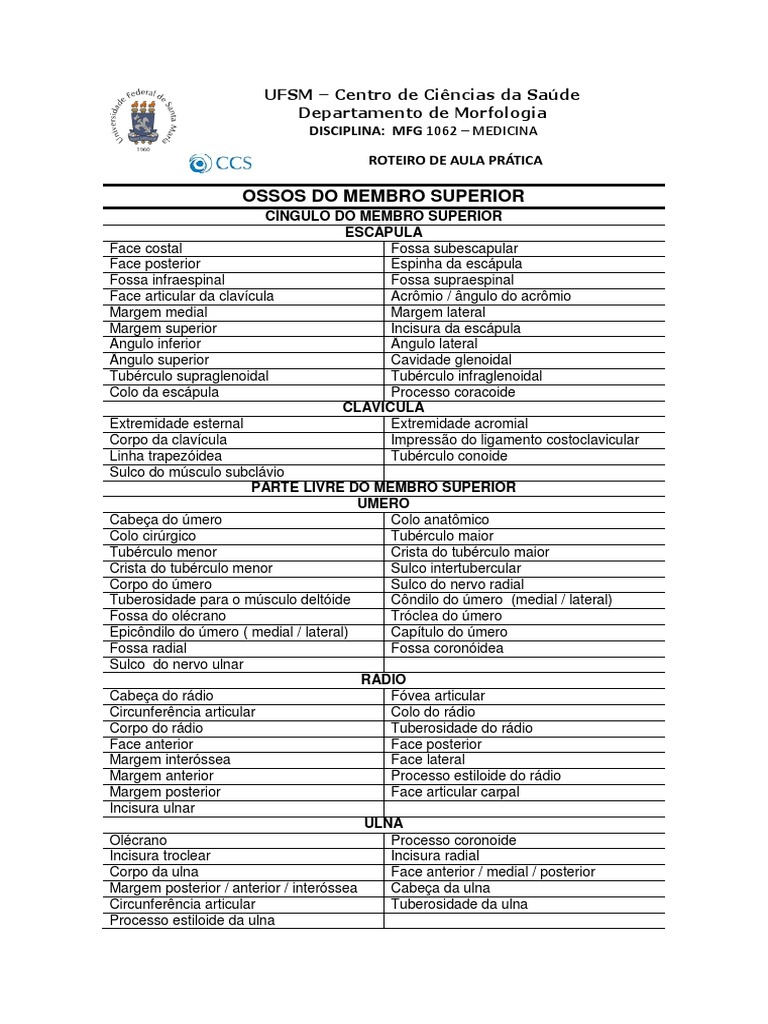 Aula Prática Ossos Do Membro Superior Pdf Sistema Locomotor