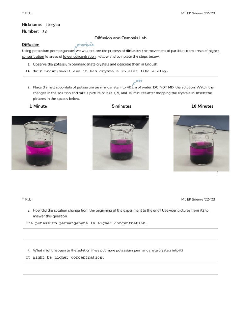 4.3 Diffusion and Osmosis Lab PDF Osmosis Chemistry