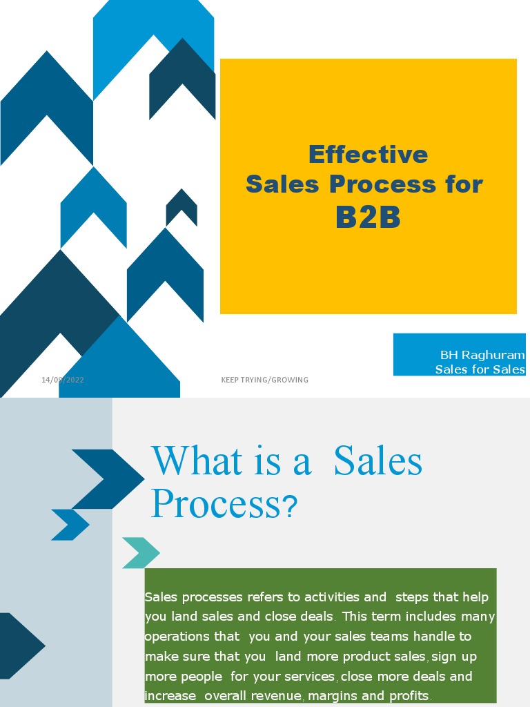 B2b Sales Process Pdf Sales Market Segmentation