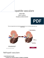 Curs6 - Nefropatiile Vasculare