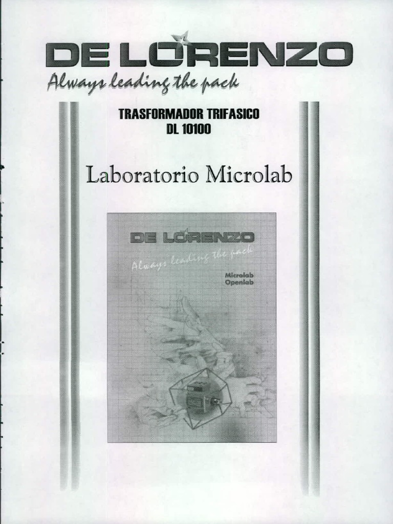 dl-10100-pdf
