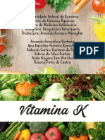 Vitamina K Slide Disciplina de Bioquímica Veterinária 