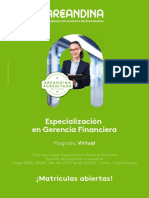 af_BrochureDigital_EspecGerenciaFinanciera_PosgPres_Virtual2021 (1)