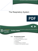 Circulatory System