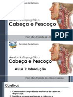 Anatomia Cabeça Pescoço Introdução Ossos Regiões Importância