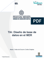 TIA Diseno de Una Base de Datos en El MER