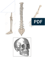 Rompecabezas Humano