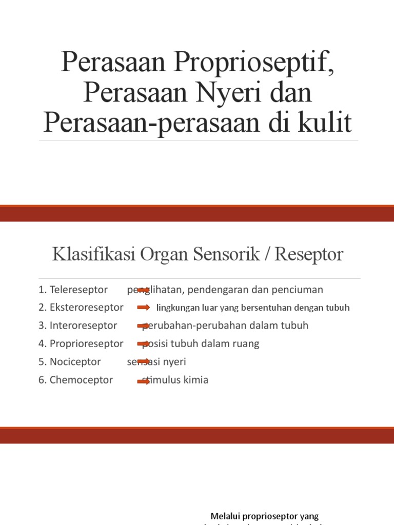 Klasifikasi Reseptor Sensorik Manusia | PDF