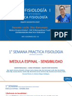 1 Semana Presentacion Clase Practica Fisiologia Medula Espinal - Somato Sensorial 2021 10