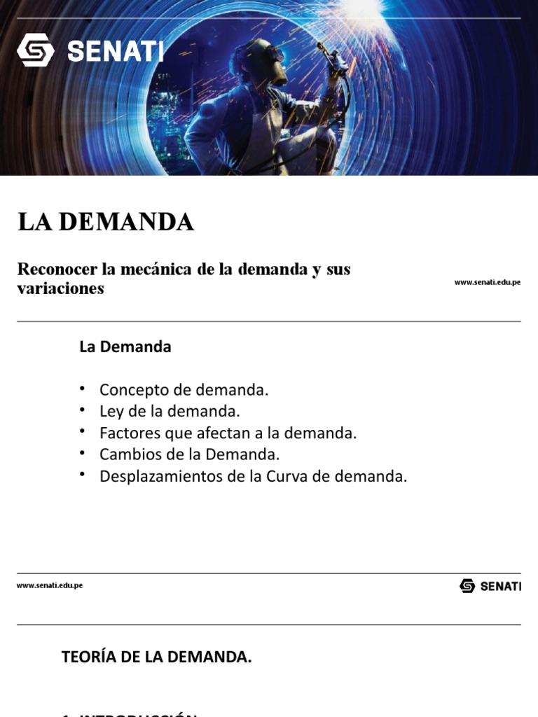 Conceptos Clave de la Demanda | PDF | Oferta y demanda | Precios