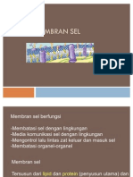 Pertemuan III Membran Sel