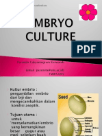 MK Kultur Embrio Tanaman