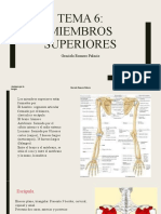 Tema 6. Mienbros Superiores (Autoguardado)