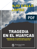 Braulio Libro Huaycas