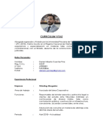 CV Daniel Cuentas Documentado