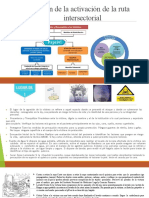 Presentación de La Activación de La Ruta Intersectorial