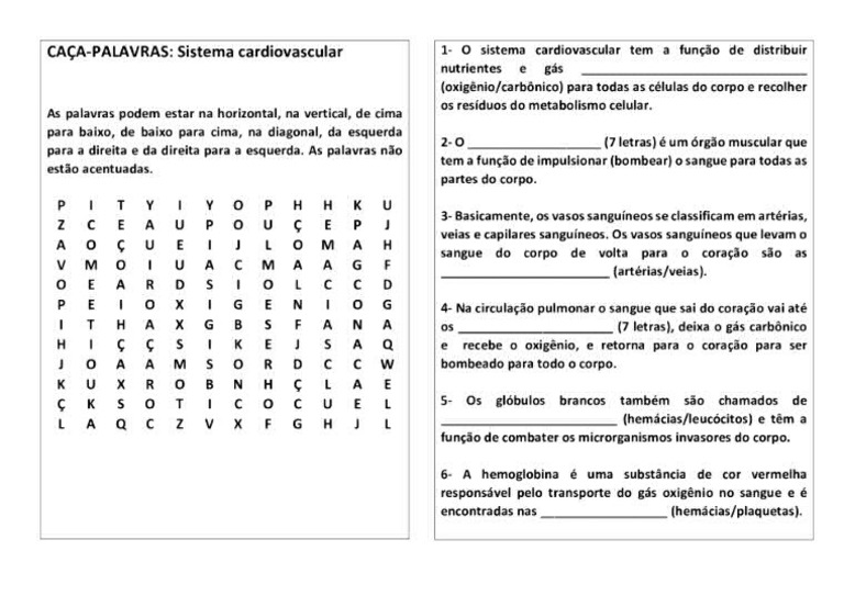Caça Palavras Sistema Cardiovascular | PDF