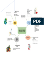 Mapa Sintesis - Desarrollo Componente Formativo