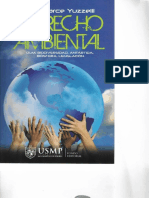 13.libro Temas de Derecho Ambiental Editorial Usmp 2011