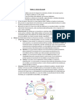 TEMA5CICLOCELULAR