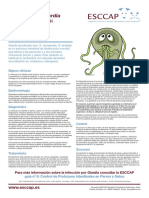 Cdikjk78 1056 ESCCAP Giardia Fact Sheet Spanish v2