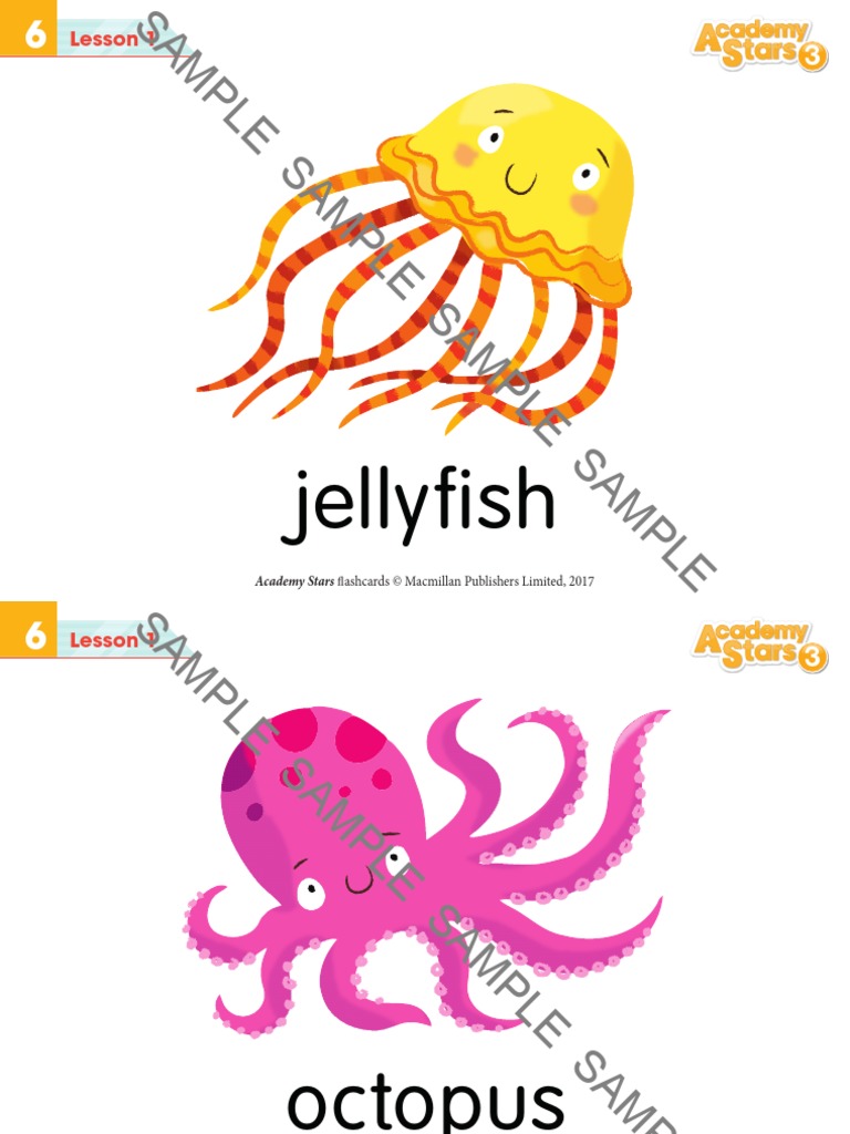 Academy Stars 3 Flashcards | PDF
