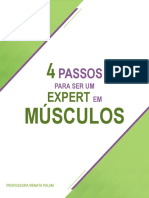 4 Passos para Ser Um Expert em Músculos