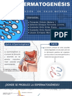 ESPERMATOGÉNESIS