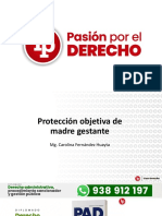 Protección Objetiva de Madre Gestante - Mg. Carolina Fernández PDF Gratis