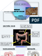 Enfermedad Diverticular de Colon: Etiología, Clasificación y Tratamiento