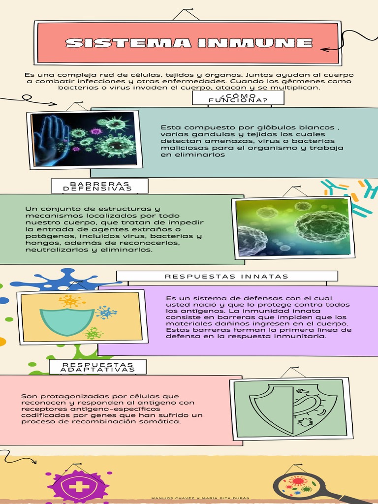 Sistema Inmune | PDF