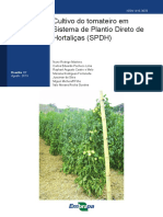 Cultivo do tomateiro em SPDH