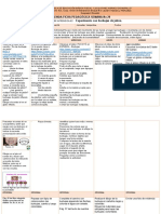 Agenda Preparatoria Semana 29