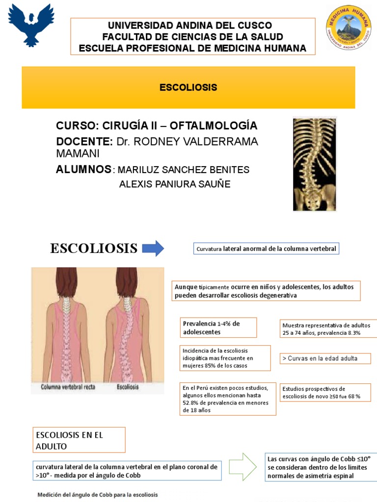 Clasificación y Tratamiento de Escoliosis en Adultos | PDF | Escoliosis ...