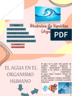 DINAMICA DE LIQUIDOS (AGUA) - 13 Nov 2021