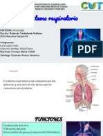 Sistema Respiratorio