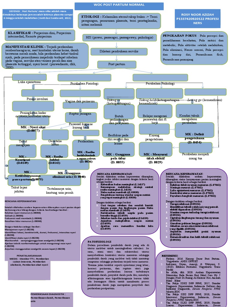 WOC POST PARTUM NORMAL Mimin PDF