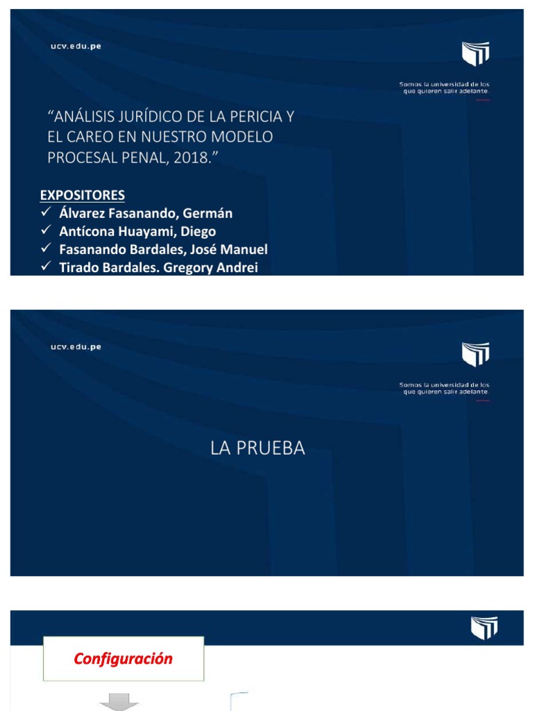 Análisis de la Pericia y Careo Penal | PDF | Testigo experto | Derecho ...