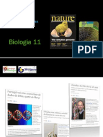 BG 6 - A estrutura da molécula de DNA