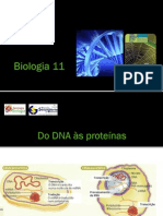 BG 10 - Síntese Proteica