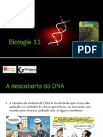 BGPT 1 - Modelos de DNA