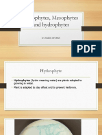 Xerophytes, Mesophytes and Hydrophytes